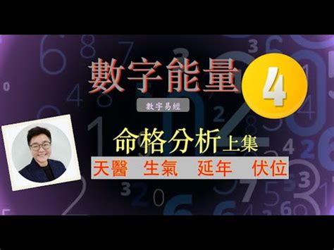 天醫數|【天醫 延年 生氣】解鎖你的數字運勢：天醫、延年、生氣號碼全。